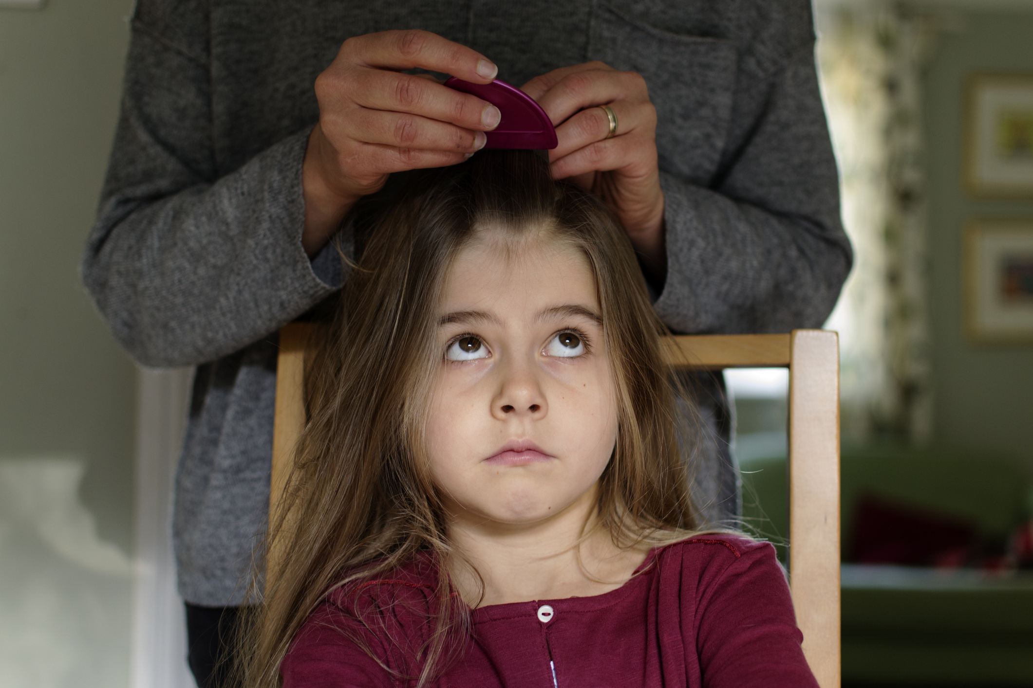 Everything to know about the new head lice guidelines (put down the mayo!)