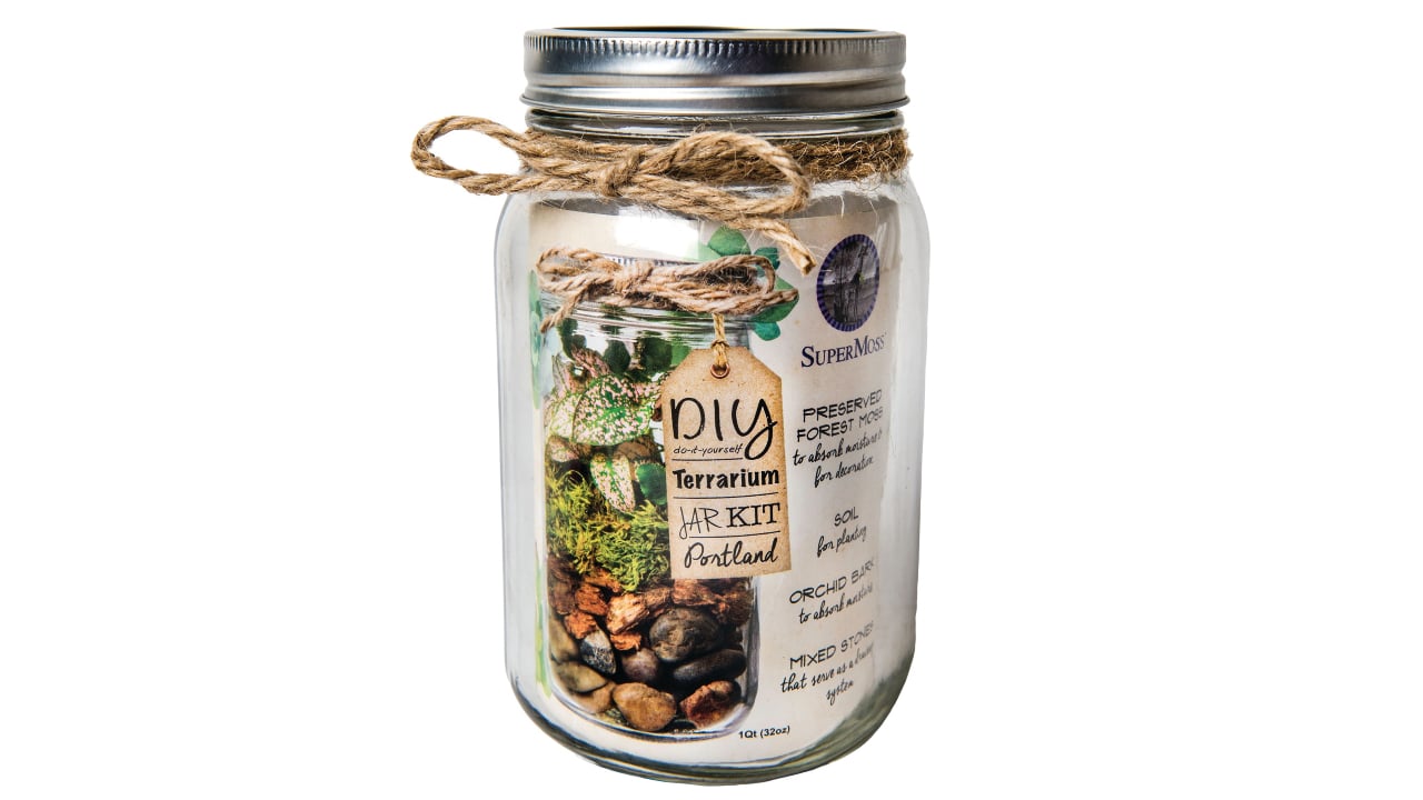 32-oz mason jar with Preserved Forest Moss, soil, orchid bark, mixed stones